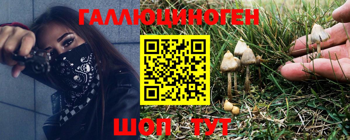Люберцы  Псилоцибиновые грибы прущие грибы  Вход с VPN 